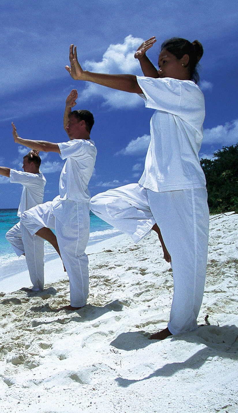 Curso de tai chi chuan forma 13 - tradicional família yang